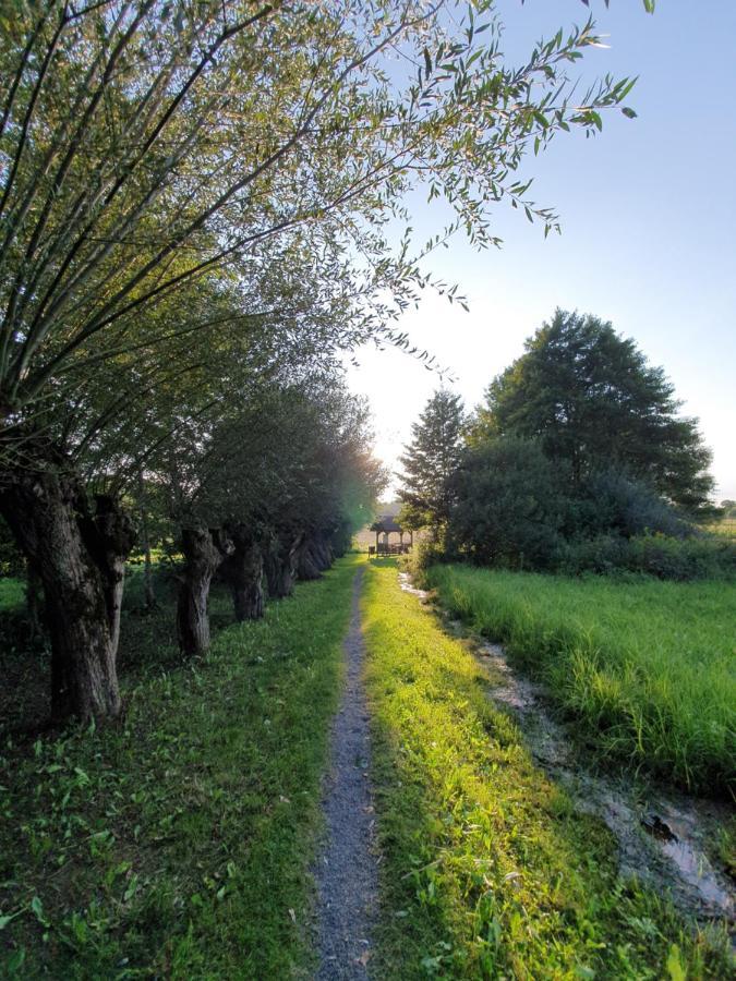 Beautiful House Surrounded By Pure Nature Rogašovci Εξωτερικό φωτογραφία