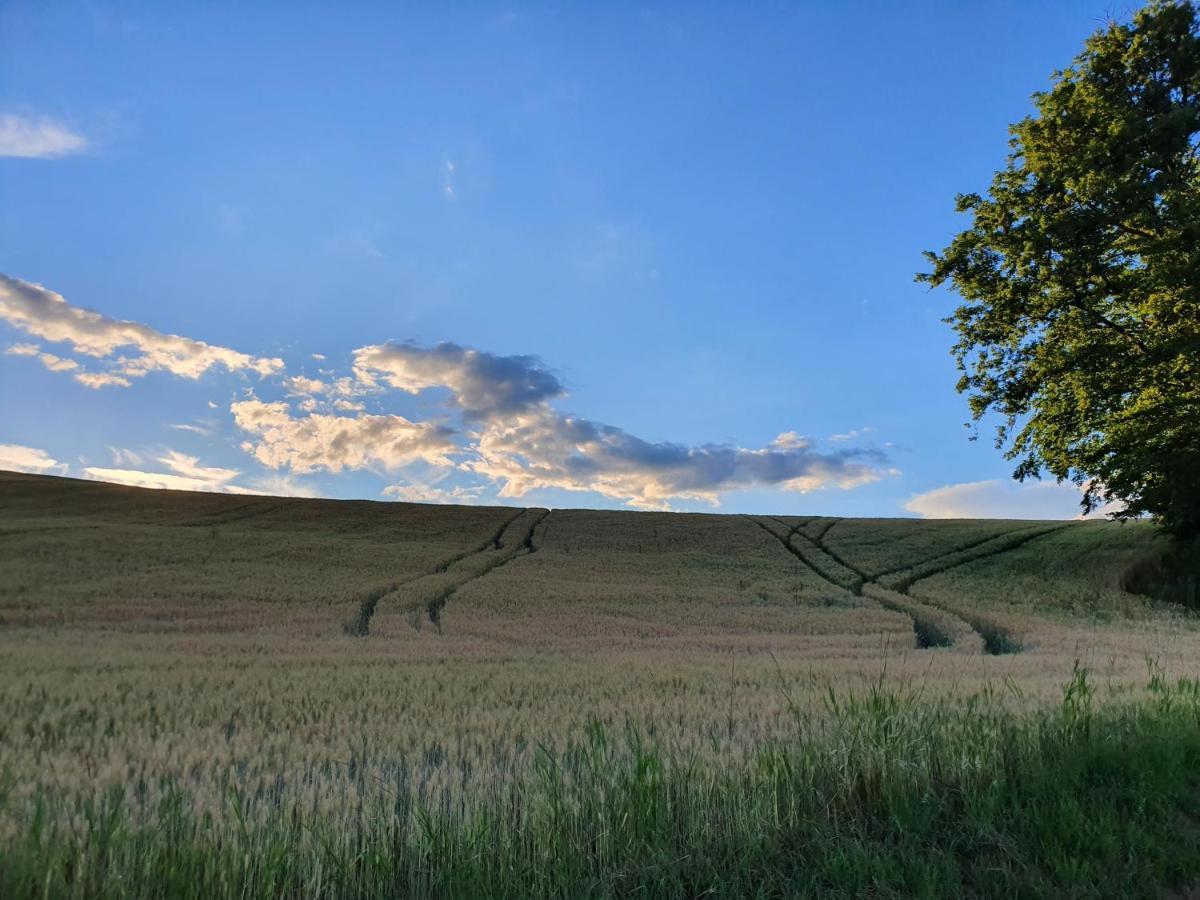 Beautiful House Surrounded By Pure Nature Rogašovci Εξωτερικό φωτογραφία
