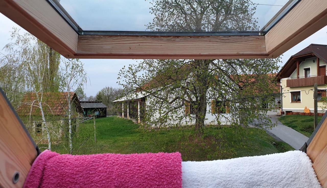 Beautiful House Surrounded By Pure Nature Rogašovci Εξωτερικό φωτογραφία